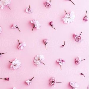 Meet your Posher, Mckenzie